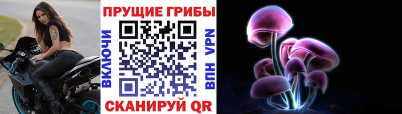 Купить закладки  Луза  Псилоцибиновые грибы Psilocybe 