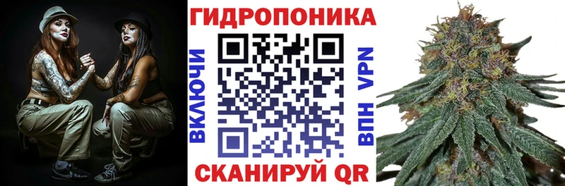 Бошки Шишки OG Kush Купить закладки Луза